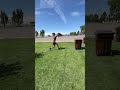 Sideflip over 🗑️ #flips #youtube #freerunning #awesome #trending