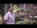 echo asia impact center seed bank manager spotlight