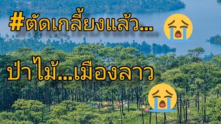 #หมดแล้ว...ป่าไม้ในลาว #ภูกองข้าว