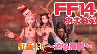 【FF14】雑談しながら紅蓮編を冒険⑤【あまね家ほのぼのチャンネル】