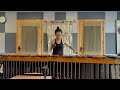 ilijas by nebojsa jovan zivkovic marimba solo performed by maliang