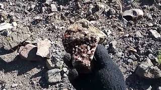 Rock Hounding a Mohave Desert Wash