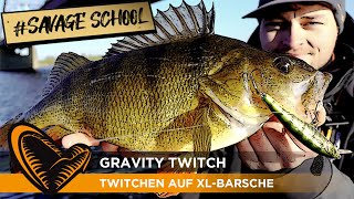 SAVAGE SCHOOL #5 Mit TWITCHBAITS auf FETTE BARSCHE I Gravity Twitch I Barschangeln I Savage Gear