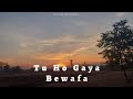 tu ho gaya bewafa anand choubey