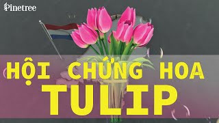 Hội chứng hoa tulip và bài học từ 400 năm trước | Câu chuyện chứng khoán