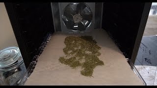 Drying Thyme With a Dehydrator (Gourmia GFD1950)