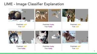 Explainable AI, Session 4: Intro to LIME