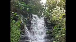 Srisailam Beautiful vlog #Andhrapradesh #telangana #trending #viral #vlog #dam #waterfall