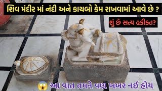 જાણો, શિવ મંદીર માં નંદી અને કાચબો કેમ રાખવામાં આવે છે || શું છે સત્ય હકીકત 😱😱😱