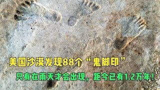 美国沙漠发现88个“鬼脚印”只有雨天才会出现，距今已有1.2万年