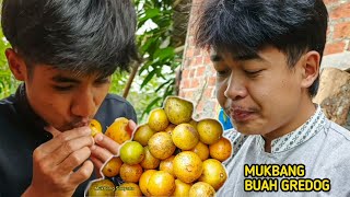 BERBURU BUAH GREDOG ATAU BUAH MUNDU | MUKBANG BUAH MUNDU