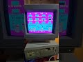 alley cat Дворовый кот vintage ibm pc 286