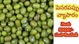 పెసరపప్పు వ్యాపారం/Moong dal business in Telugu/Greengram business in Telugu.