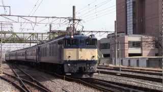 【JR】試9738レ EF64-38+12系4B+C58 363上越試運転 新前橋