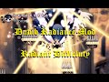 【Hollow Knight Mod】Dumb Radiance Mod Radiant Difficulty (nohit)