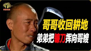 弟弟種了哥哥的耕地，收回時卻遭弟弟報復，導致哥哥家破人亡 #神秘老樹 #案件 #探案 #懸案 #懸疑