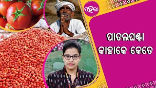 ଏନ୍ତା କାଁହେଲାଯେ ନାଇଁ ବିକି କରି ମାହାଲିଆନେ ବାଣ୍ଟିଦେଲେ ପାତଲଘଣ୍ଟା