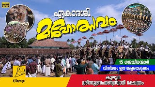 15 ഗജരാജന്മാര്‍ ഒരുമിച്ച് / കുഴൂര്‍ ഏകാദശി 2022