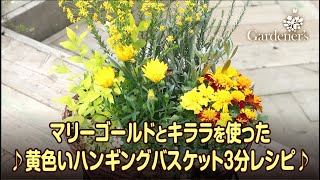 ♪ 春の寄せ植え3分レシピ ♪マリーゴールドとキララを使った黄色いハンギングバスケット