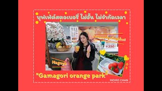 พาไปกินบุฟเฟ่ต์สตอเบอรี่สดๆไม่อั้น ไม่จำกัดเวลา หวานอร่อยม๊วกกที่ \