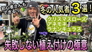 冬に欠かせない！キンポウゲ科攻略でこの時期だけの花でガーデニング(園芸)を楽しもう！