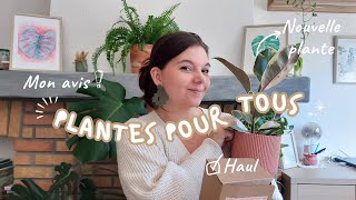 PLANTES pour tous ~ AVIS et HAUL plantes et accessoires🪴