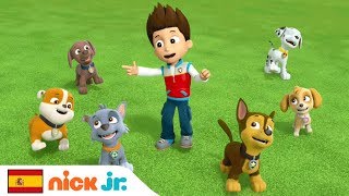 La Patrulla Canina | ‘Canción de la Amistad’ Video Musical 🐾 | Nick Jr. España