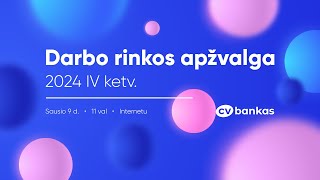 DARBO RINKOS APŽVALGA | 2024 IV ketvirtis