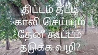 தேனீ கூட்டம் பெட்டியை காலி செய்வது 21 நாட்களுக்கு முன்பே தொடங்கும் ஒரு திட்டமிட்ட செயல். தடுக்க வழி?