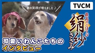 【📺CM】絹紗「ユーザーズボイス」篇