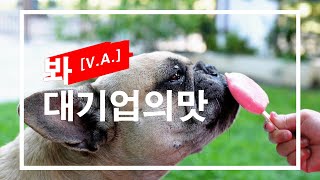 [V.A.Exclusive] 이게 바로 대기업의 맛, 아이스크림은 제발 사드세요