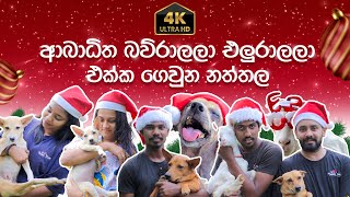 බව්බව් නත්තල බැලුවෙ නැද්ද? | Christmas Day 2024