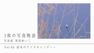 １枚の写真物語〜萩原れいこ〜　Vol45　初冬のアイスキャンディー