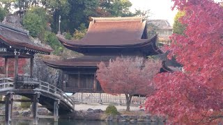 卍虎渓山  永保寺🐉🌈  岐阜県多治見市 #名僧 夢窓疎石開基  紅葉🍁の名所  国の名勝  国宝多数