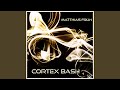 Cortex Bash (M-S Version)