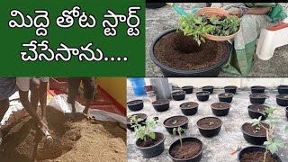 కొత్తగా start చేసిన మిద్దె తోట | #Porankisgarden | Begining of our terrace garden