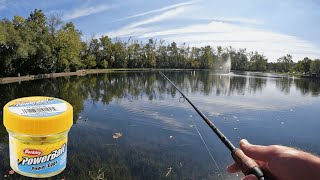 Best Rig Setup For Stocked Trout In Ponds Lakes Tips
