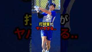 【衝撃】大谷翔平がボール破壊..金属バットの打球音と屈強ソフトボーラーの… #大谷翔平 #野球 #プロ野球 #mlb