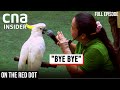 Goodbye, Jurong Bird Park: The Last Day | On The Red Dot | Full Episode