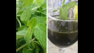 Coriander and Mint Leaves Juice for Health(ఆరోగ్యానికి కొత్తిమీర మరియు పుదీనా ఆకుల రసం)