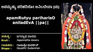 ಅಪಮೃತ್ಯು ಪರಿಹರಿಸೋ ಅನಿಲದೇವಾ | ಜಗನ್ನಾಥವಿಠಲ | Apamrutyu parihariso | Jagannatha Vithala |ಪ್ರಾಣದೇವರ ಹಾಡು