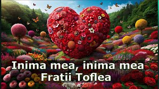 Fratii Toflea - Inima mea, inima mea