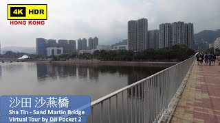 【HK 4K】沙田 沙燕橋 | Sha Tin - Sand Martin Bridge | DJI Pocket 2 | 2021.10.01