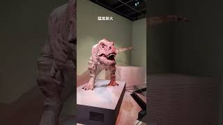 Angry Dinosaur 恐龍發火＃史前 ＃香港科學館