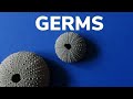 DIY:GERMS