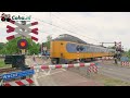 Spoorwegovergang Steenwijk 😍4K😍 // Dutch railroad crossing