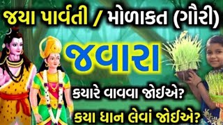 જયા પાર્વતી,મોળાકાત/ગૌરીવ્રત માં જવારા ક્યારે વાવવા જોઈએ?ક્યાં ધાન નો ઉપયોગ થાય છે||Jyaparvati vrat