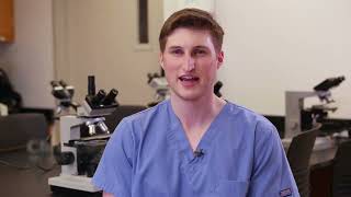 About the Pathologists' Assistant program - College of Pharmacy and Health Sciences @ Wayne State