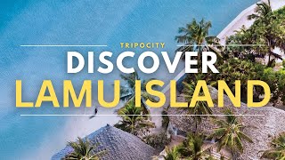 Explore Lamu Island, Kenya: Pristine Beaches, Historic Sites, and Swahili Culture