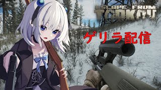 【Escape from Tarkov】突然始まるゲリラタルコフ！【楠フカ】